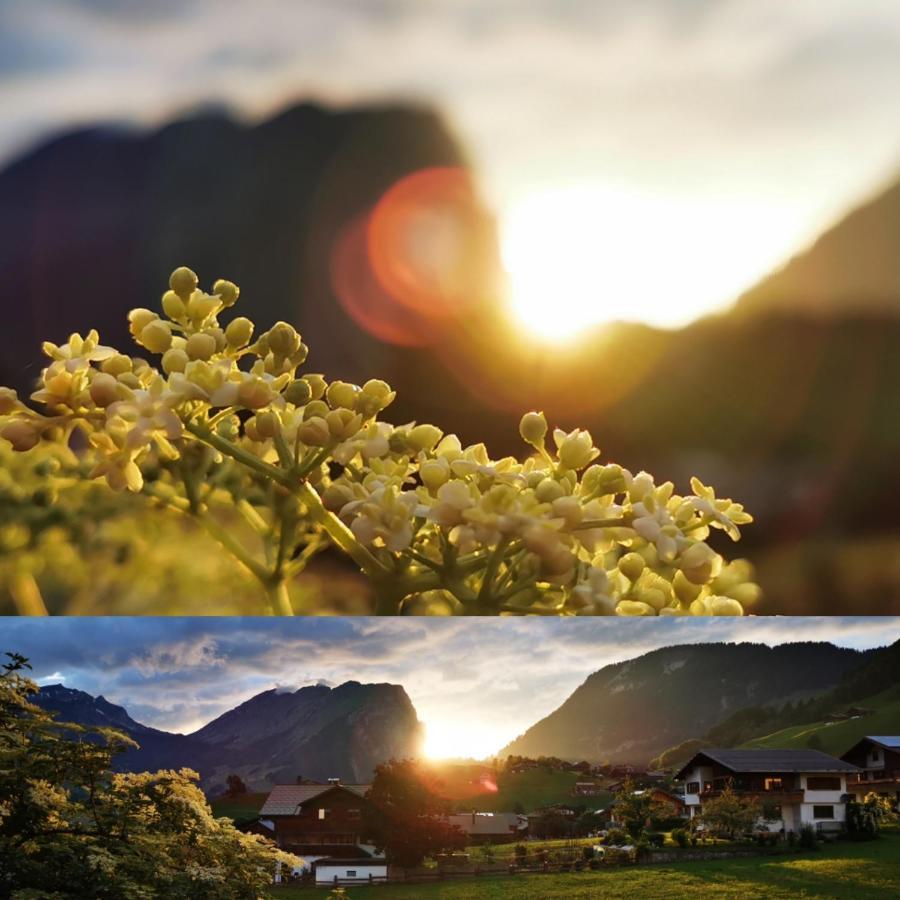 Urlaub Bei Moses Apartamento Schoppernau Exterior foto