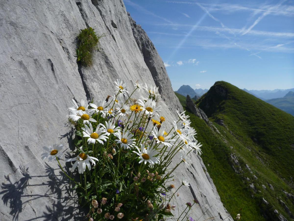 Urlaub Bei Moses Apartamento Schoppernau Exterior foto