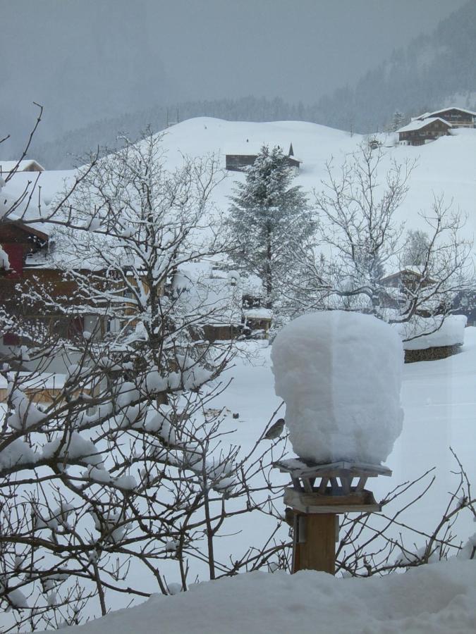 Urlaub Bei Moses Apartamento Schoppernau Exterior foto